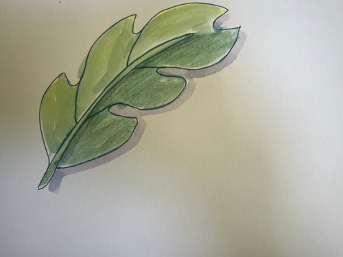 A hand-drawn illustration of a green leaf with shaded green and yellow-green tones, sketched on a white sheet of paper.