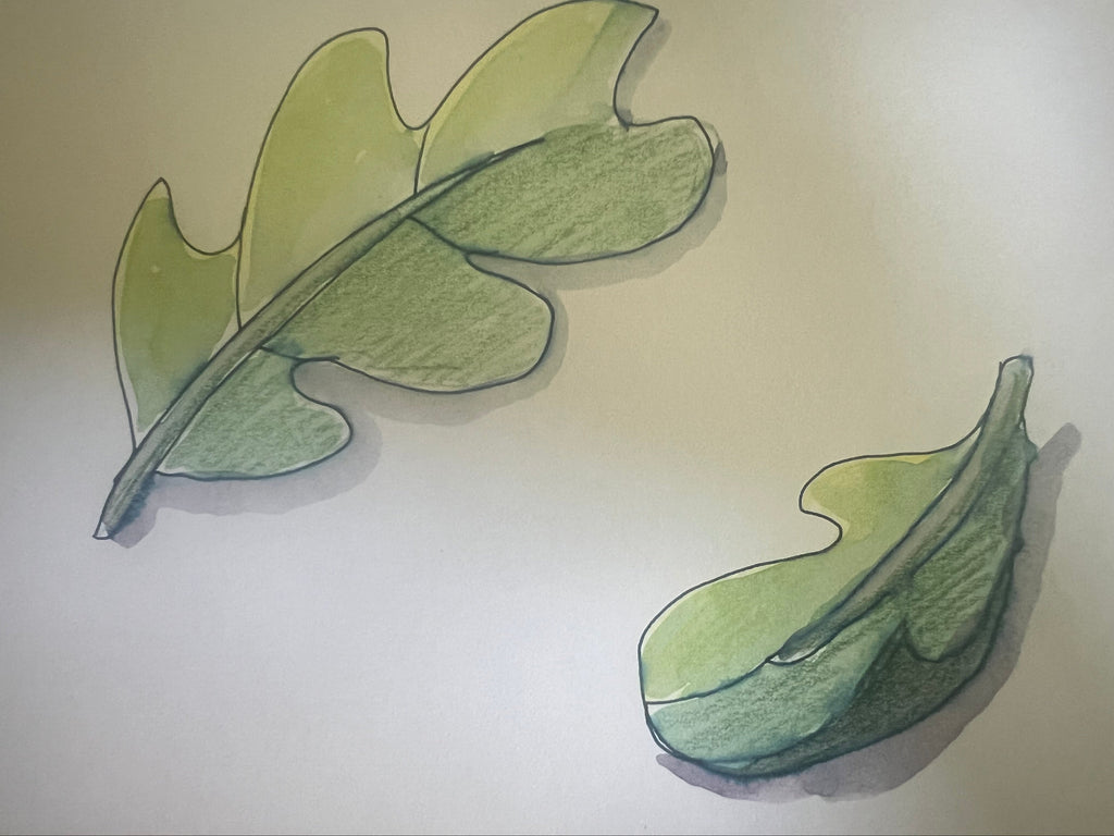 A watercolor and ink sketch of two green leaves on a light beige background.