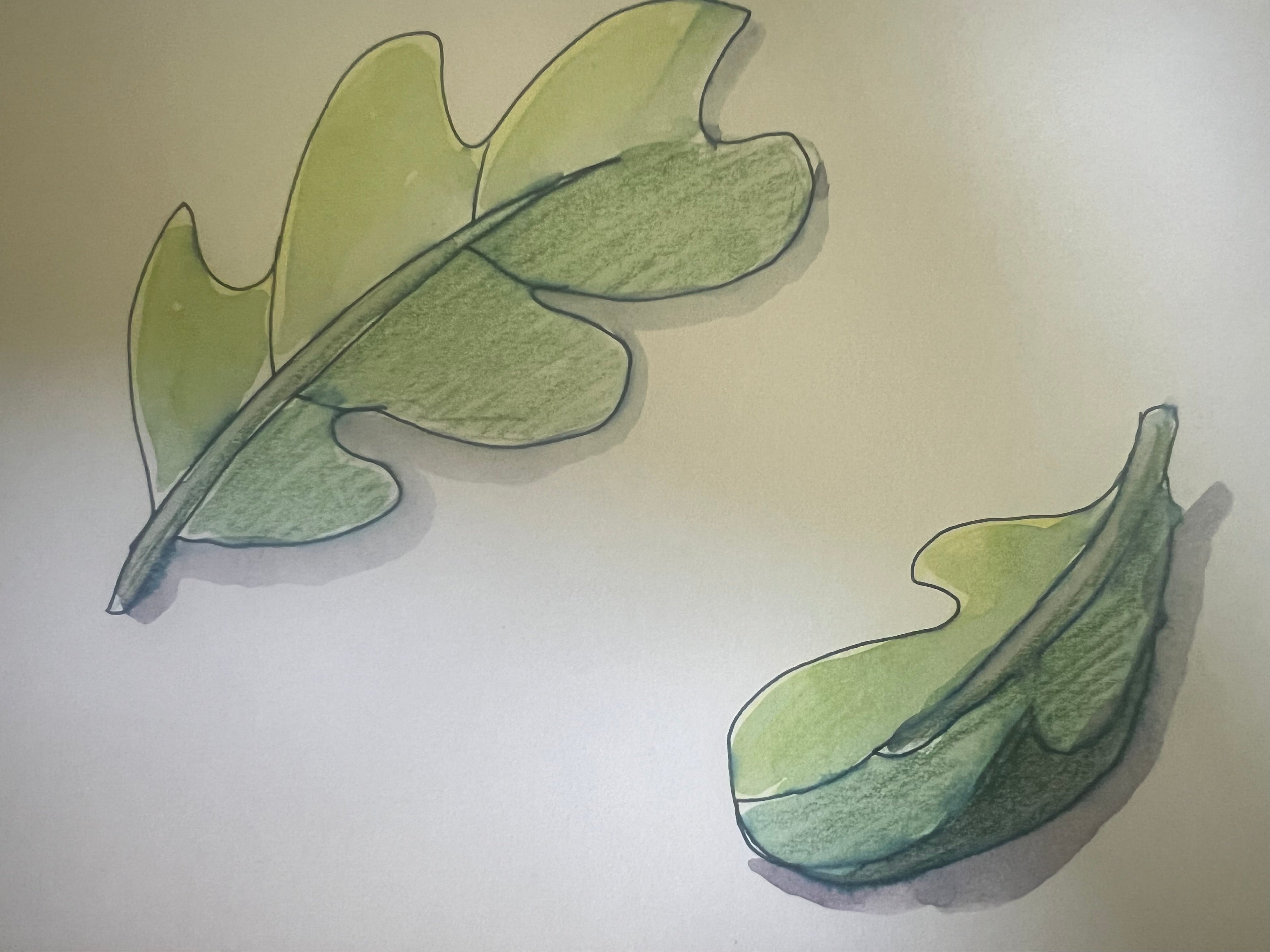 A watercolor and ink sketch of two green leaves on a light beige background.