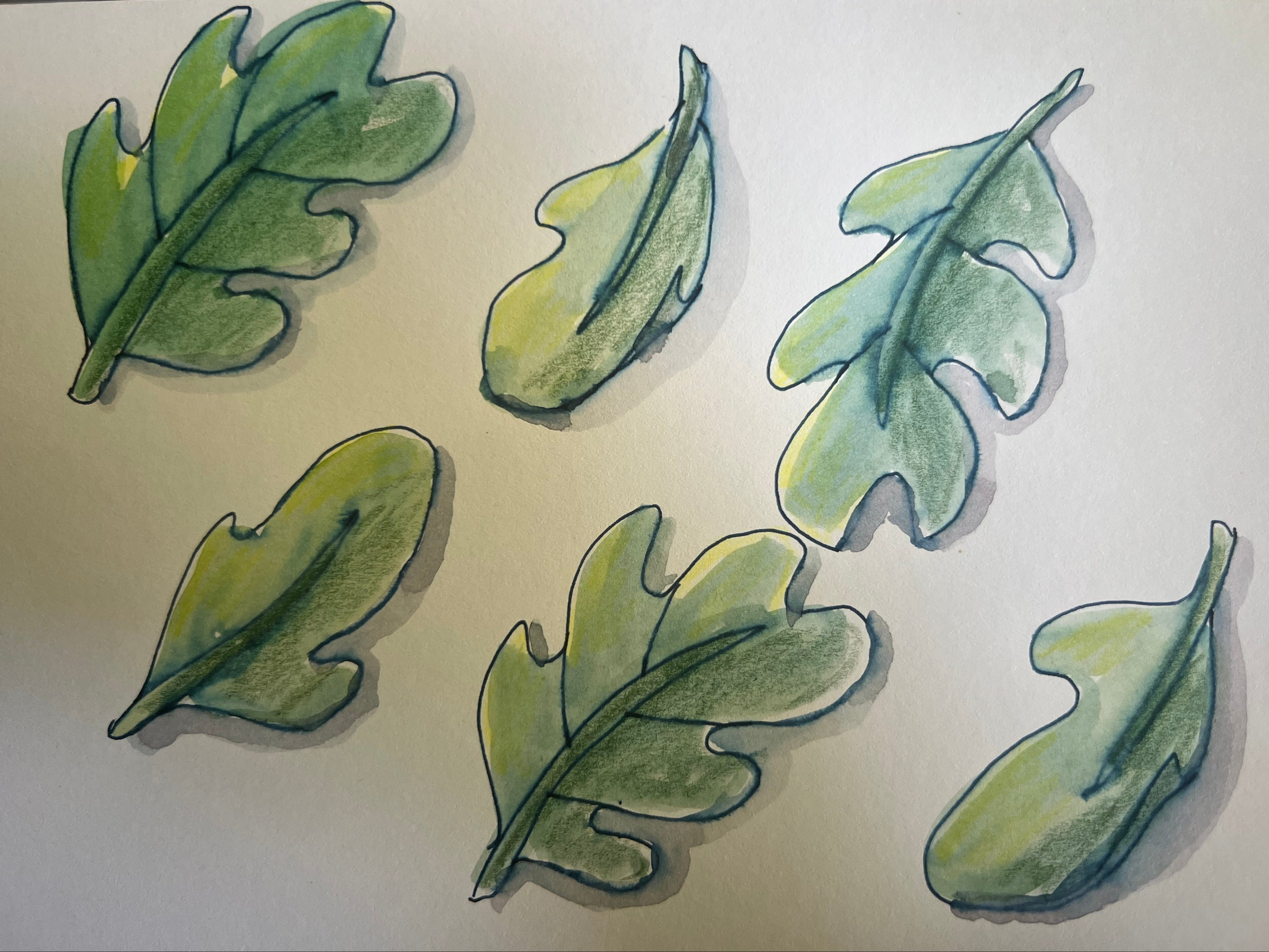 A hand-drawn illustration of six green arugula leaves on a white background, rendered in shades of green with dark outlines and soft shadows.